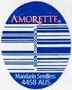 Amorette mandarin seedless 4458 aus
