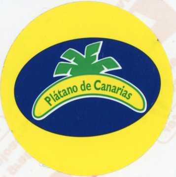 platano de canarias