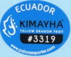 Kimayha yellow dragon fruit #3319 ecuador www.paloraexporter.com