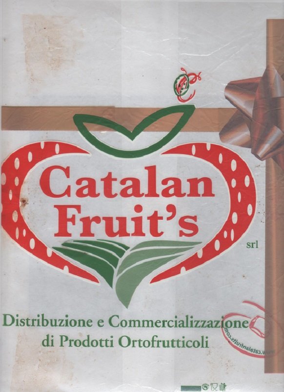 catalan fruit s www.catalanfruits.com distribuzione e commercializzazione di prodotti ortofrutticoli