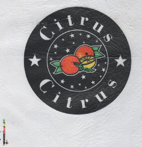 citrus citrus