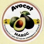 avocat maroc