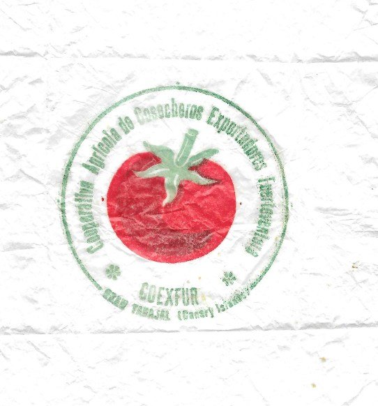 coexfur cooperativa agricola de cosecheros exportadores fuerteventura gran tarajal canary islands