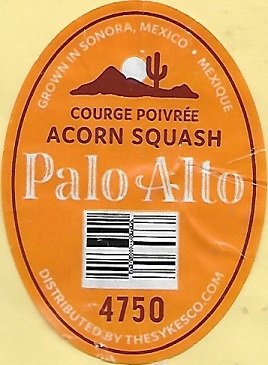 Palo alto 4750 courge poivree acorn squash grown in sonora mexique