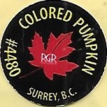 Rgr colored pumkin #4480 surrey b.c.