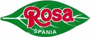 rosa spania