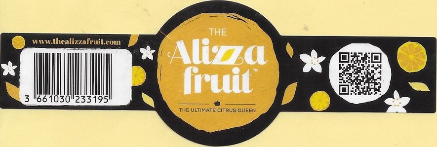 The alizza fruit the ultimate citrus queen www.thealizzafruit.com 366103233195