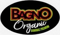 bagno organic bananas premium