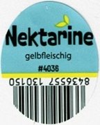 nektarine gelbfleischig #4036 8436557130150