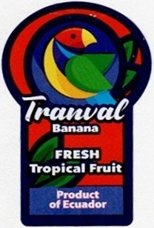 Tranval banana fresh tropical fruit product of ecuador