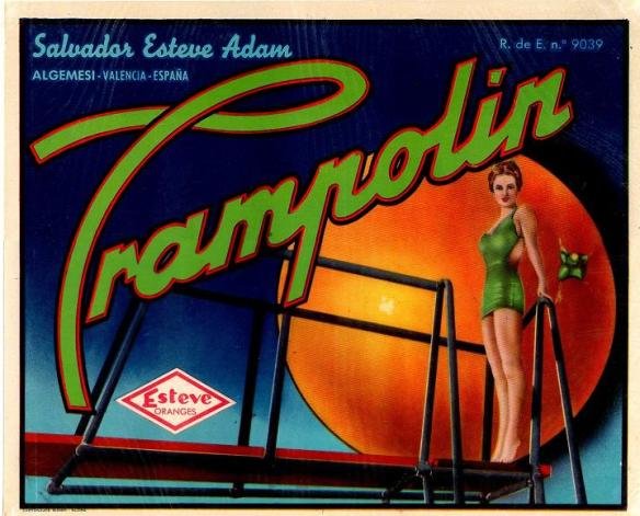 trampolin salvador esteve adam re 9039 algemesi valencia espana