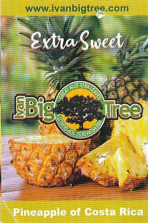 ivan big tree pineapple of costra rica