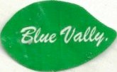 Blue Valley