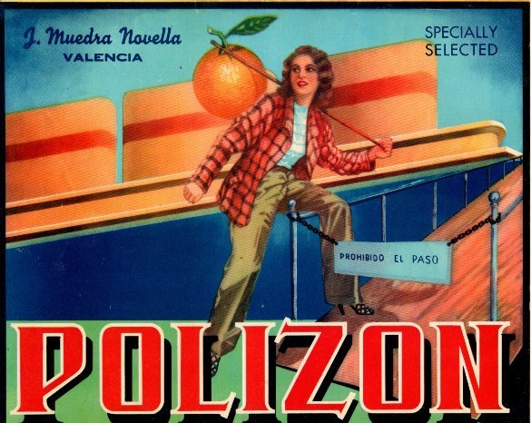 polizon j muedra novelda valencia
