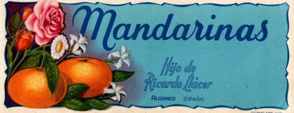 mandarinas hijo de ricardo llacer algemesi  espana