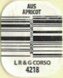 LR & G Corso aus apricot 4218