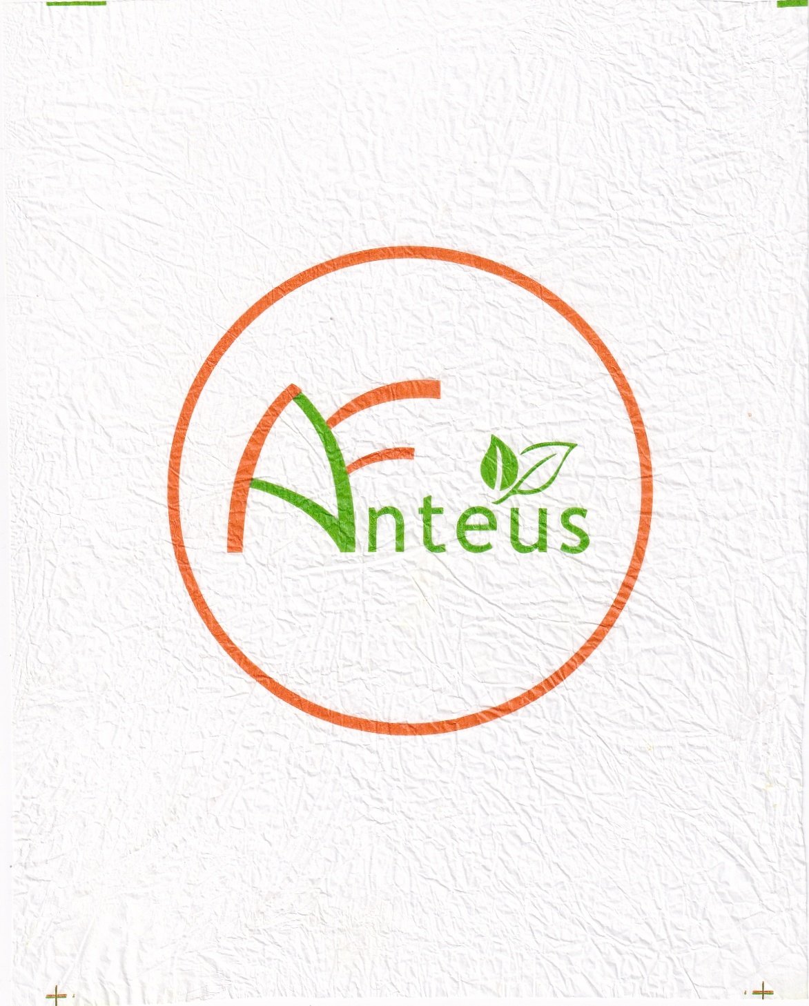 Anteus
