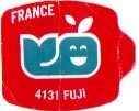 France 4131 fuji
