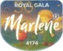 Marlene royal gala 4174