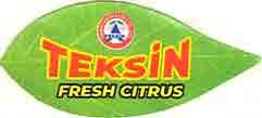 teksin fresh citrus