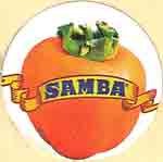 samba