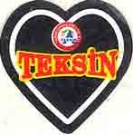 teksin