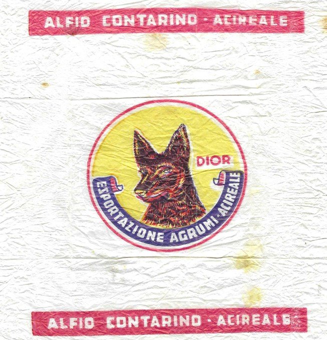 dior alfio contarino acireale esportazione agrumi acireale