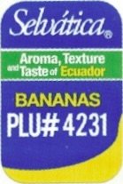Selvatica aroma, texture and taste of ecuador bananas plu #4231