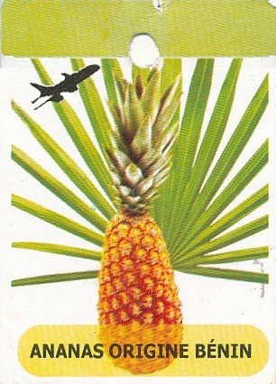 ananas origine benin anep company