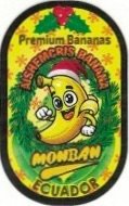 Monban premium bananas aishemcris ecuador