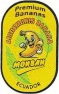 Monban premium bananas aishemcris banana ecuador