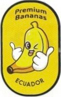 premium bananas ecuador