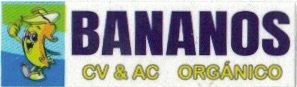 CV & AC organico bananos