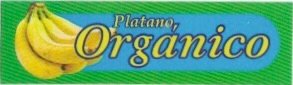 Organico platano