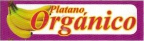 Organico platano