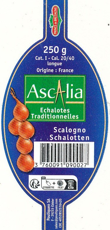 prince de bretagne ascalia echalotes traditionnelles 3760091090027
