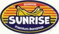 Sunrise ecuador premium bananas