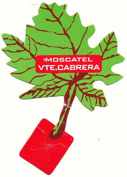 moscatel  vte cabrera