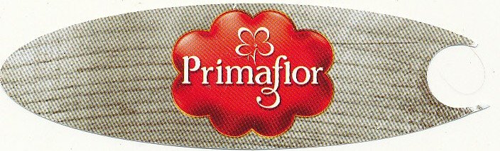 primaflor cebolla manojo 8425779011965