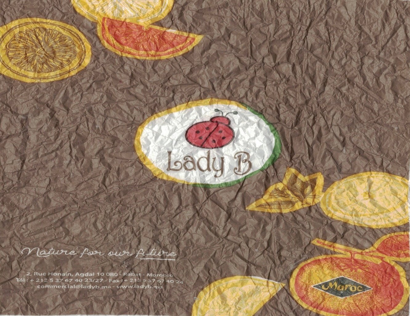 Lady b nature for our future rabat morocco maroc
