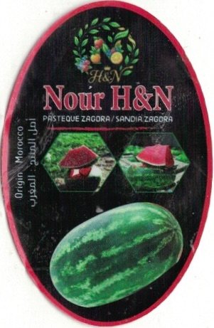Nour H&N pasteque zagora sandia zagora origin marocco