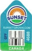 Sunset subsetgrown.com GFF 4688 canada