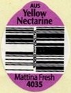 Mattina fresh aus yellow nectarine 4035