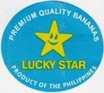 lucky star premium quality bananas product of the philippines