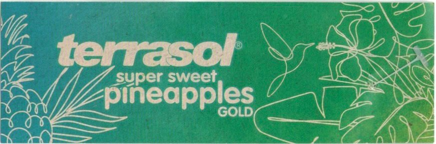 Terrasol super sweet pineapples gold lidl 20586386 product of ecuador 7