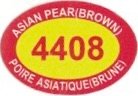 asian pear (brown) 4408 poire asiatique (brune)