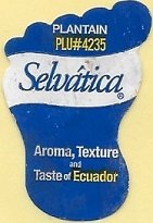 Selvatica plantain plu #4235 aroma texture and taste of ecuador