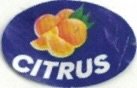 citrus