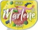Marlene fuji 4131