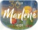 Marlene fuji 4131